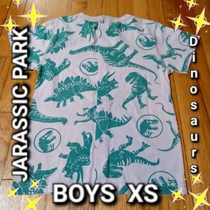 Jarasic Park Boys XS Dinosaur Multi Print &  Lavenender T-Shirt W/ Snap Closure